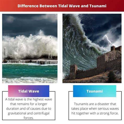 tsunami vs tidal wave