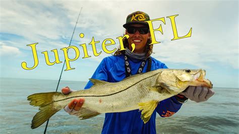 types of fish in jupiter fl