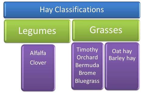 Types Of Hay Chart