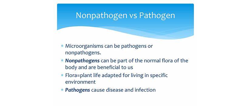 understanding nonpathogens and pathogens