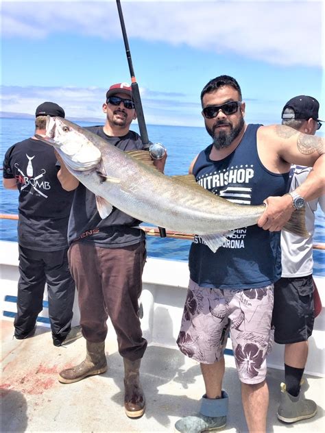 Ventura Sport Fishing: Supporting Local Businesses