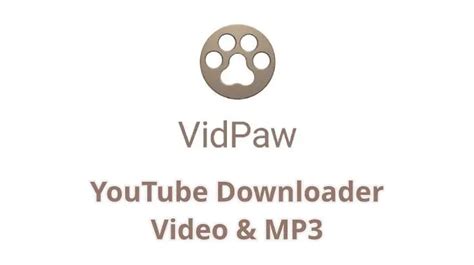 Cara Download YouTube MP3 dengan VidPaw