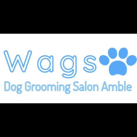 wags dog grooming salon