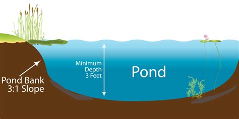 water pressure at pond