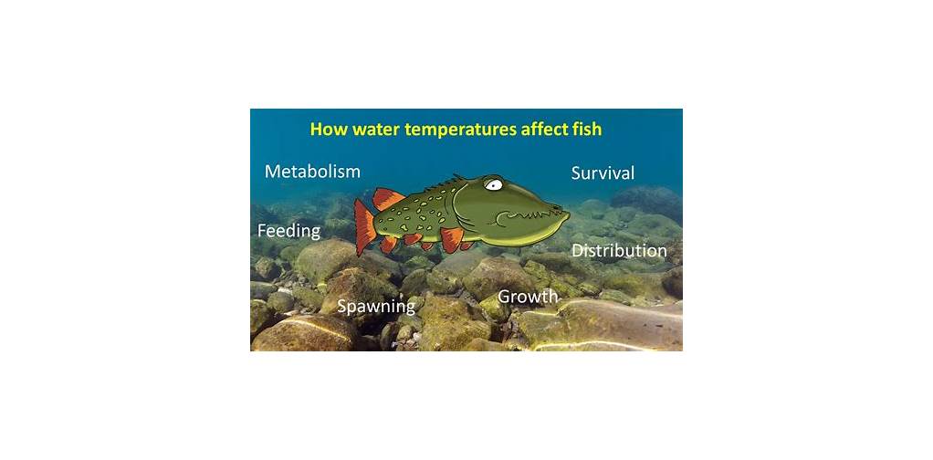 Water temperature affect fishing conditions