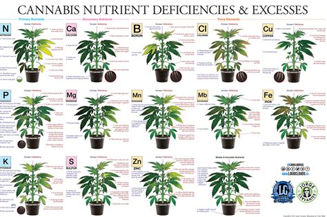 Weed Leaf Chart