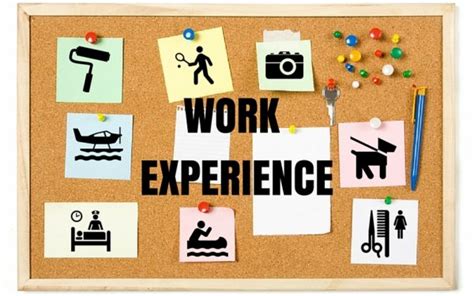 Pengalaman Kerja