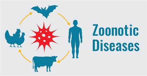 Penyebaran Penyakit Zoonosis